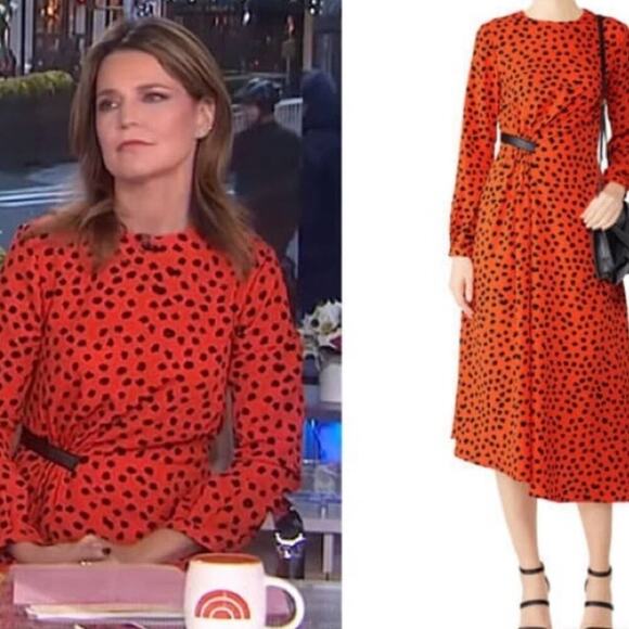 HUNTER BELL Orange Black Animal Print Lawton Polka Dot Ruched Dress Size 0 - Picture 2 of 13